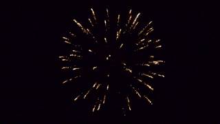 3'' Red wave with blue pistil - TROPIC Fireworks, Fajerwerki, Feuerwerk, Vuurwerk, Feu d'artifice