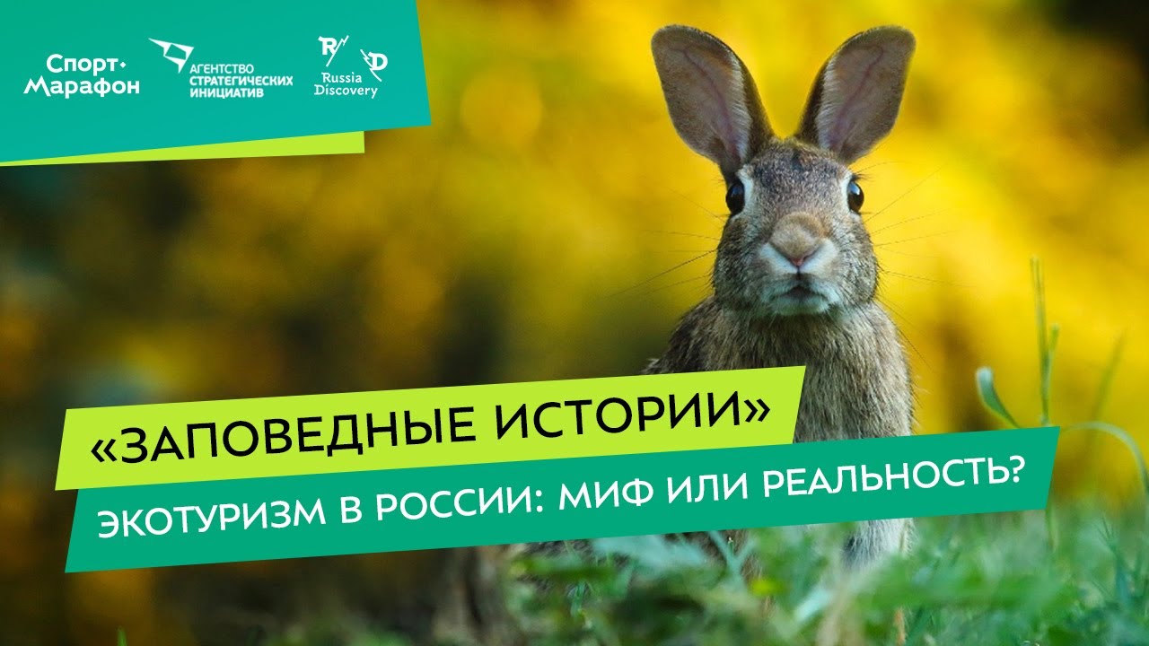 Экотуризм в России: миф или реальность? - YouTube
