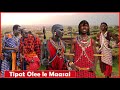 Part Two Tipat Olee Le Maasai Sikiliza Hizi Story Tamu Za Kimasai 