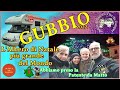 🚚 Gubbio e l'albero di Natale più grande del Mondo 🤪Ho la patente da Matto ➡ I viaggi con Gulliver