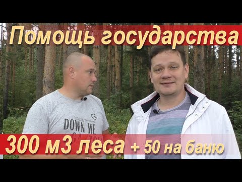 Как получить лес (бревно, брус и доски) по лесному кодексу РФ на дом, баню или ремонт