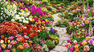 Enchanting Cottage Garden Retreat 2026 | Beautiful Backyard Transformations & Relaxing Porch Living