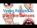 Verbs Related to The Five Senses