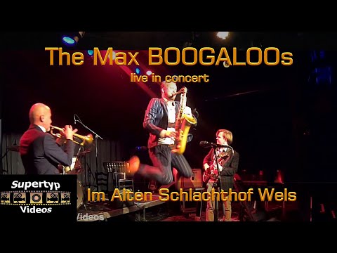 The Max BOOGALOOs