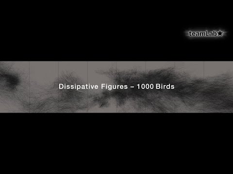 Dissipative Figures – 1000 Birds (8ch)