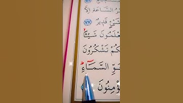 سورة النحل الأية 78 إلى 79 القارئ سعد الغامدي