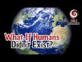  what if humans didnt exist discover now 