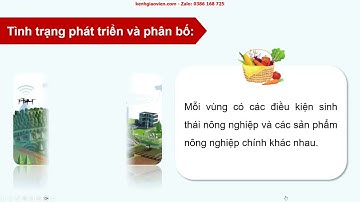 Giáo án PowerPoint Bài 14: Tổ chức lãnh thổ nông nghiệp | GA điện tử Địa lí 12 chân trời