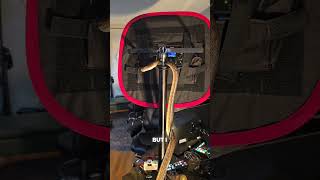 One Of These Two Snakes Is On A Sneaky Adventure...