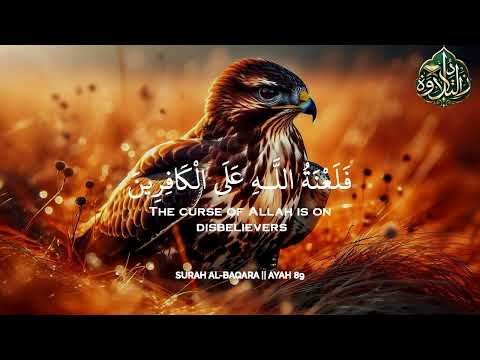 استرح مع القرآن🧡🎧 | تلاوة هادئة للراحة والسكينة 😴 | Rest Your Soul | Quran for sleep