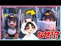 かわいいのにググガガペンギンをミキサーで混ぜた結果がヤバすぎた・・・😱【 ググガガペンギン / gugugaga penguin 】