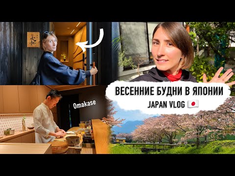 видео: Секретные места Фукуоки и весенние будни в Японии