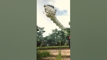 BEWARE OF SNAKE SURPRISES! 🐍 | Kids Cartoon | #Matchbox #Cars #Shorts