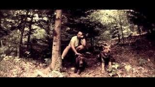 Dogtrekking. Spacer z psem nie musi byc nudny!