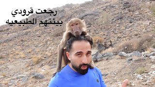 Vlog 1 رجعت قرودي بيئتهم الطبيعية بعد سنتين من إنقاذهم