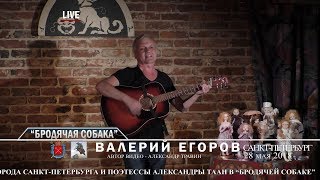 Санкт-Петербург - День города. "Бродячая собака". Выступает Валерий Егоров. Санкт-Петербург - День города. "Бродячая собака". Выступает Валерий Егоров.