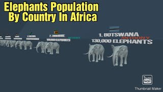 Elephant Population By African Country 2024