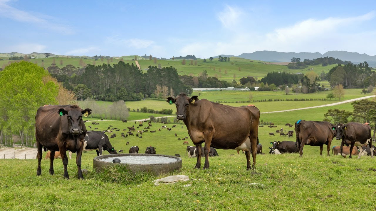 947 Kokopu Road, Kokopu - Peter Ogle