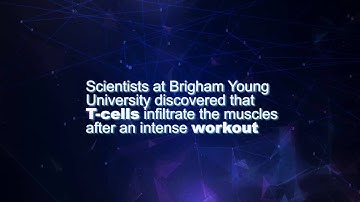 Cracking the Code: Exercise Soreness | SciTech Now