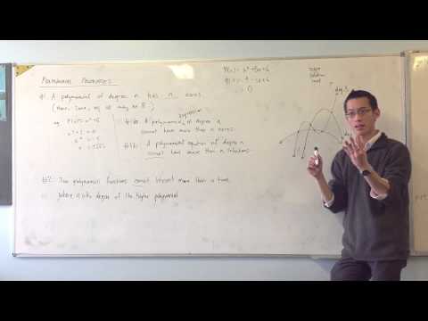 Polynomial Properties: How Many Points of Intersection?