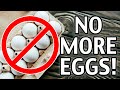 10 Egg Substitutions for When You Can&#39;t Get Any Eggs! Egg Shortages!