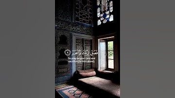 القرآن الكريم|سورة الكوثر🤍