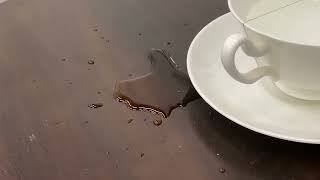 Test. IMG 5151