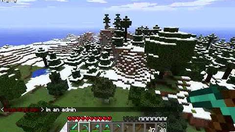 minecraft bukkit server(1.0.0)