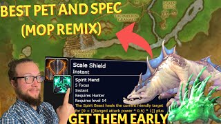 BEST PET and SPEC for Mist of Pandaria REMIX! Level FAST with these pets World of Warcraft MoP Remix