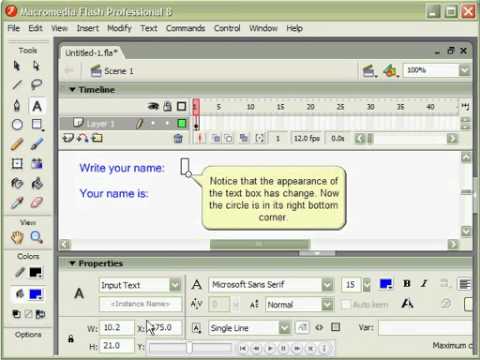 5. Flash 8 - Interaction Dinamic Texts - Input (Text Type).avi