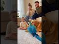 オウムの鳴き声が犬の鳴き声になり驚いて固まってしまう赤ちゃん👶🦜🐶#parrot #baby #cute #funny #shorts #赤ちゃん #オウム