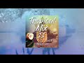 Djpapadocs  tropical mix ii afro