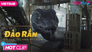 Lạc Trên Đảo Rắn, Cuộc Chiến Sinh Tồn Nơi Đảo Hoang | Đảo Rắn - Snake Island Python | Phim Lẻ YOUKU