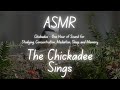 Asmr  1hour chickadee birdsong  the chickadee sings