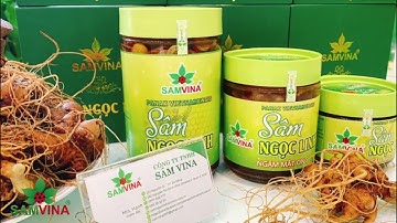 Sâm Ngọc Linh Ngâm Mật Ong - Sâm ViNa