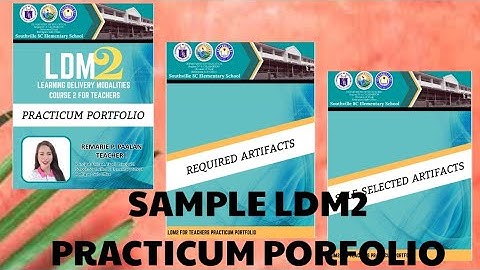 LDM2 PRACTICUM PORTFOLIO SAMPLE // TEACHER REM