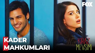 Ayaz Ve Öykünün Nezaret Didişmeleri - Kiraz Mevsimi 28. Bölüm