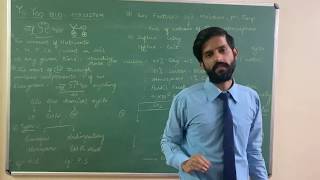 Ecosystem | Lecture 5 | Nutrient Cycle | Biogeochemical cycle | Carbon cycle | NCERT Ch 14 | NEET