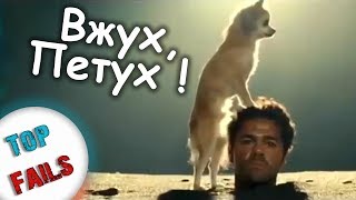 ВЖУХ ✨ И ТЫ ПЕТУХ 🐓 Лучшие Приколы Июня 2017 ||Top Fails|| ВЖУХ ✨ И ТЫ ПЕТУХ 🐓 Лучшие Приколы Июня 2017 ||Top Fails||