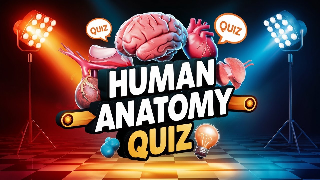 Human Anatomy Quiz Trivia Human Body Quiz quizze quizgame funquiz