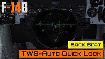 DCS World - F-14 Tomcat - TWS-Auto Quick Look