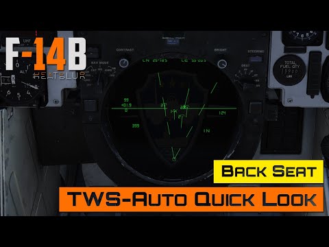 DCS World - F-14 Tomcat - TWS-Auto Quick Look