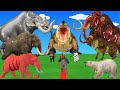 Who’s Right or Wrong? Mammoths, Elephants & Cattle vs Nile Crocodile – Mammoth Rescues!