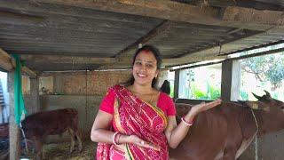 Kalyani Vlogs Is Live