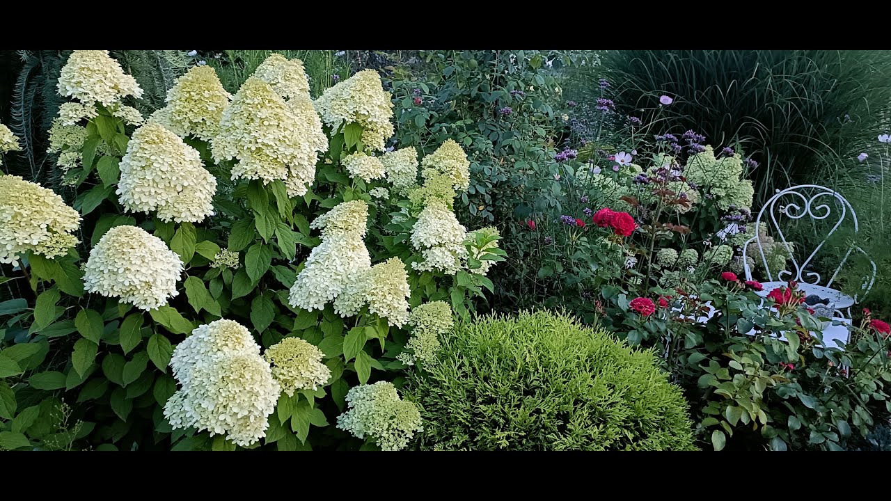 Triki ogrodowe - u mnie to się sprawdza - jesień 2025