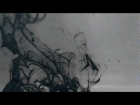 DARA - DESPRE ASTA