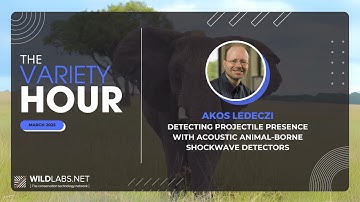 Akos Ledeczi: Detecting projectile presence with acoustic animal-borne shockwave detectors