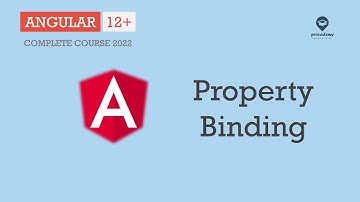 Wat is eigenschapsbinding | Gegevensbinding | Angular 12+