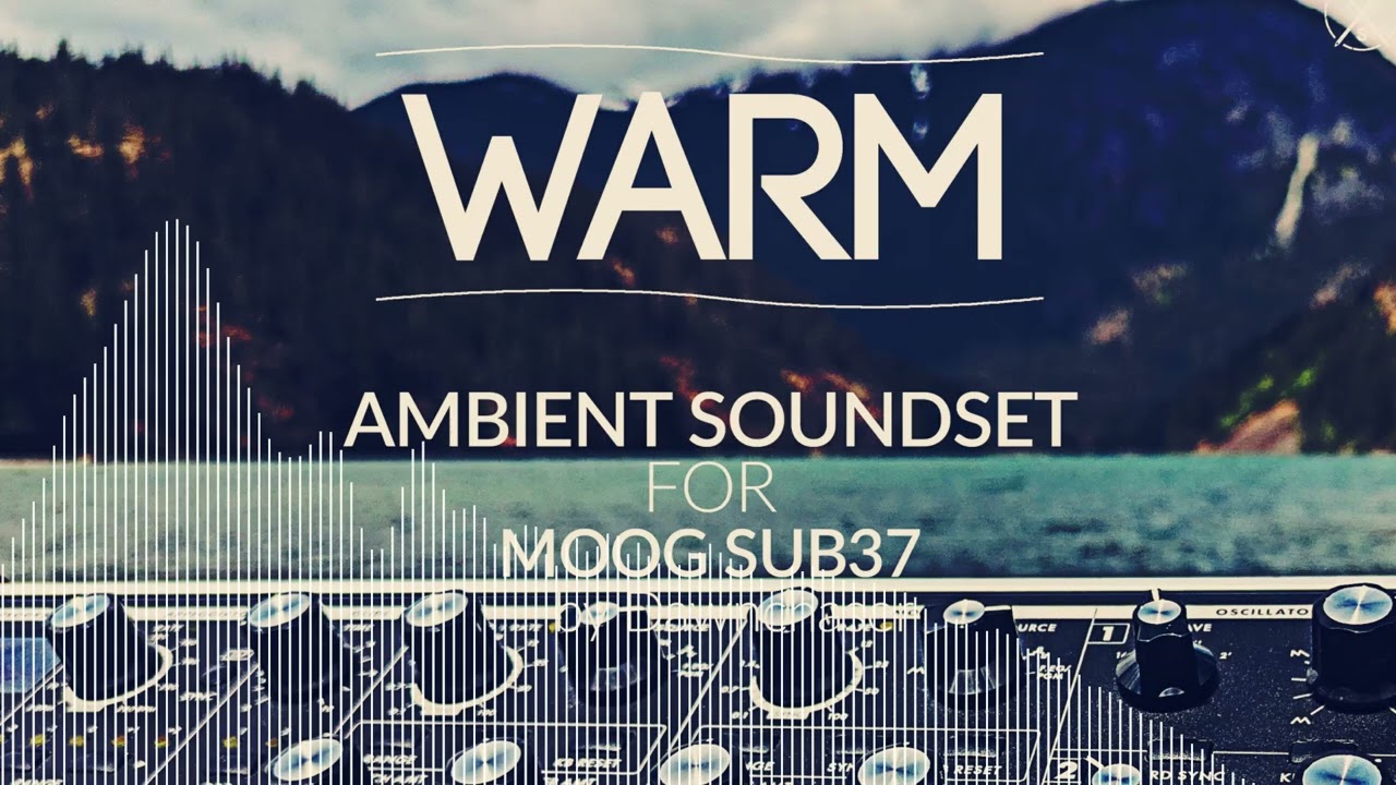 Warm Ambient Soundset for Moog Sub 37 - Chillout/ Ambient/ Downtempo Patches 2025