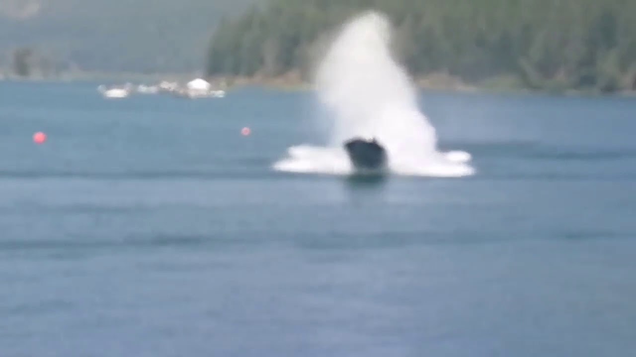 Come on come all..... Season opener coming soon! Fraser Valley drag boat association 2019 YouTube Come on come all..... Season opener coming soon! Fraser Valley drag boat association 2019 YouTube